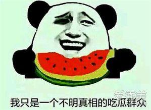 吃瓜表情有什么含义,揭秘网络社交中的幽默与讽刺